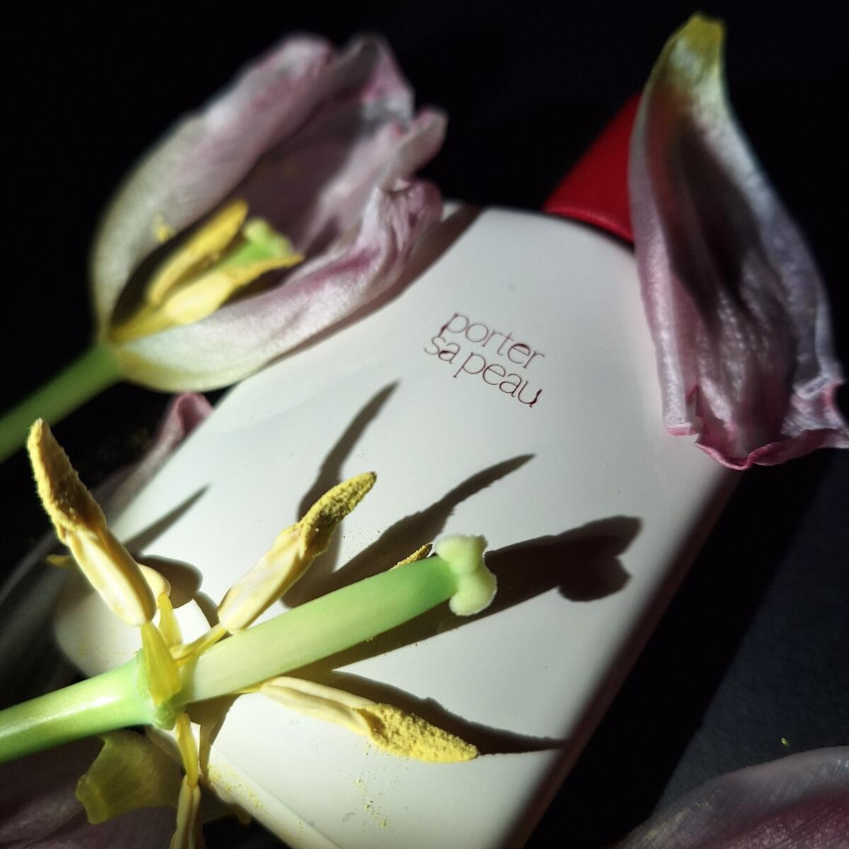 عطر ادکلن پرتور سا پو لژه پارفمان روبرتو گریکو - Porter Sa Peau L'Objet Parfumant Roberto Greco - بررسی، قیمت و خرید