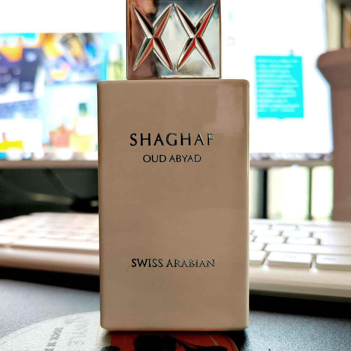 عطر ادکلن شغف عود ابیض سوئیس عربین - Shaghaf Oud Abyad Swiss Arabian - بررسی، قیمت و خرید