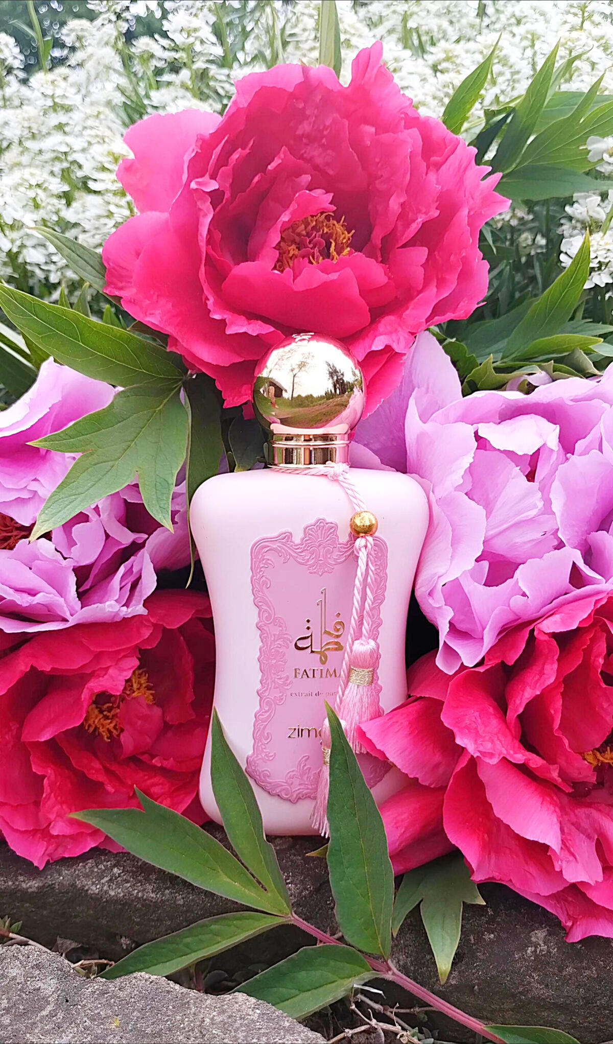 عطر ادکلن فاطیما پینک زیما - Fatima Pink Zimaya - بررسی، قیمت و خرید