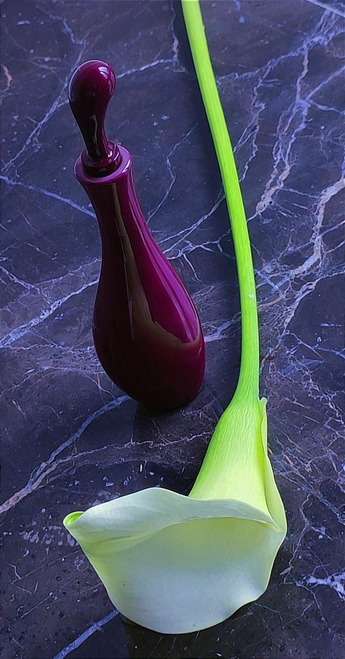 عطر ادکلن فمنیت دو بوا شیسیدو - Feminite du Bois Shiseido - بررسی، قیمت و خرید