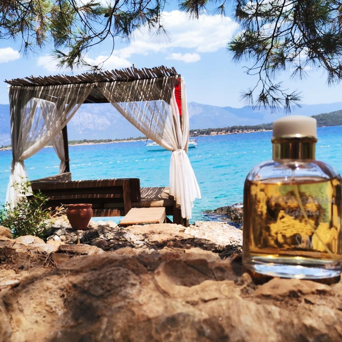 عطر ادکلن لایت بلو سان پور هوم دولچه گابانا - Light Blue Sun Pour Homme Dolce&Gabbana - بررسی، قیمت و خرید