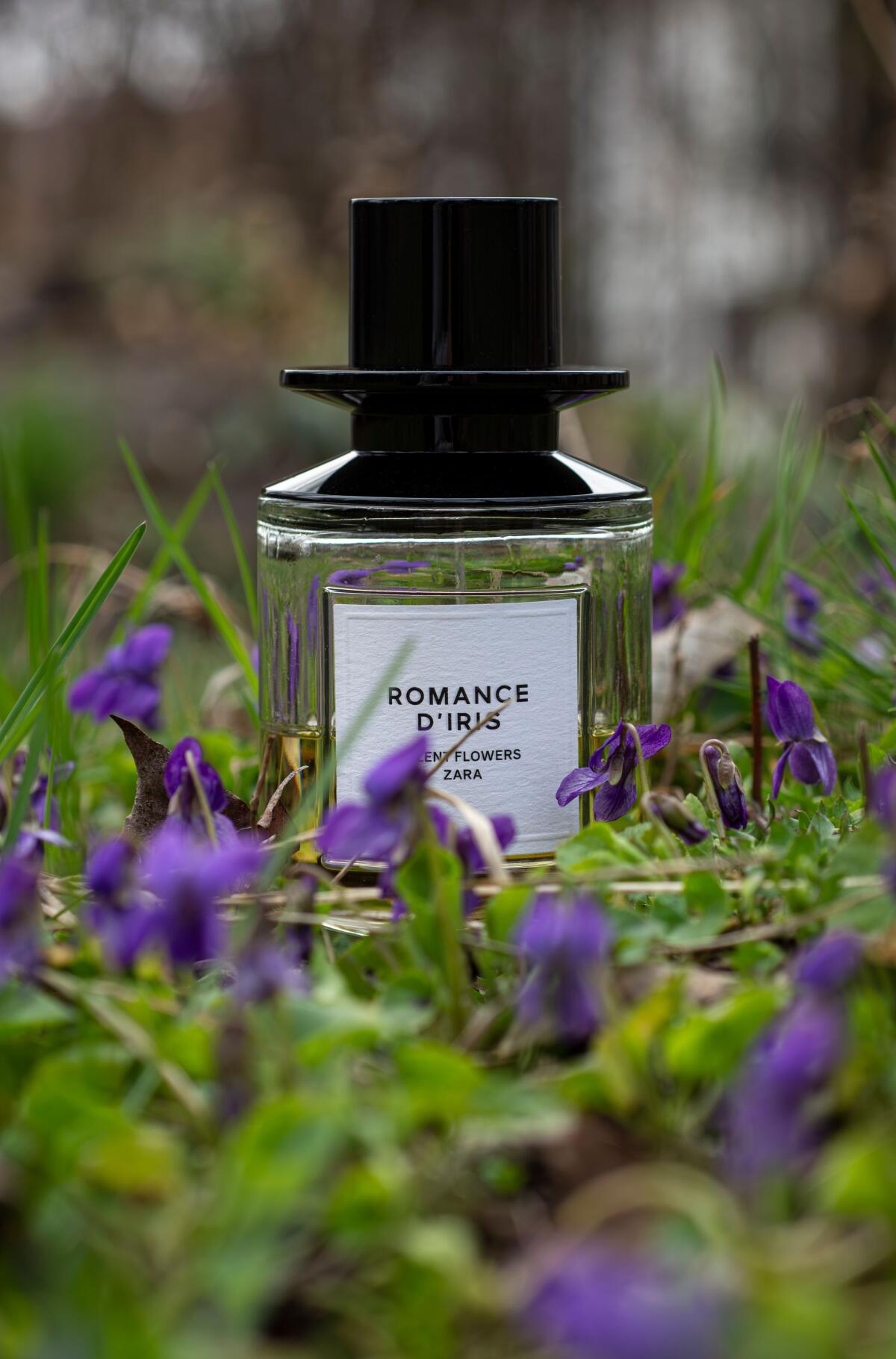 عطر ادکلن رومنس دی ایریس زارا - Romance d'Iris Zara - بررسی، قیمت و خرید