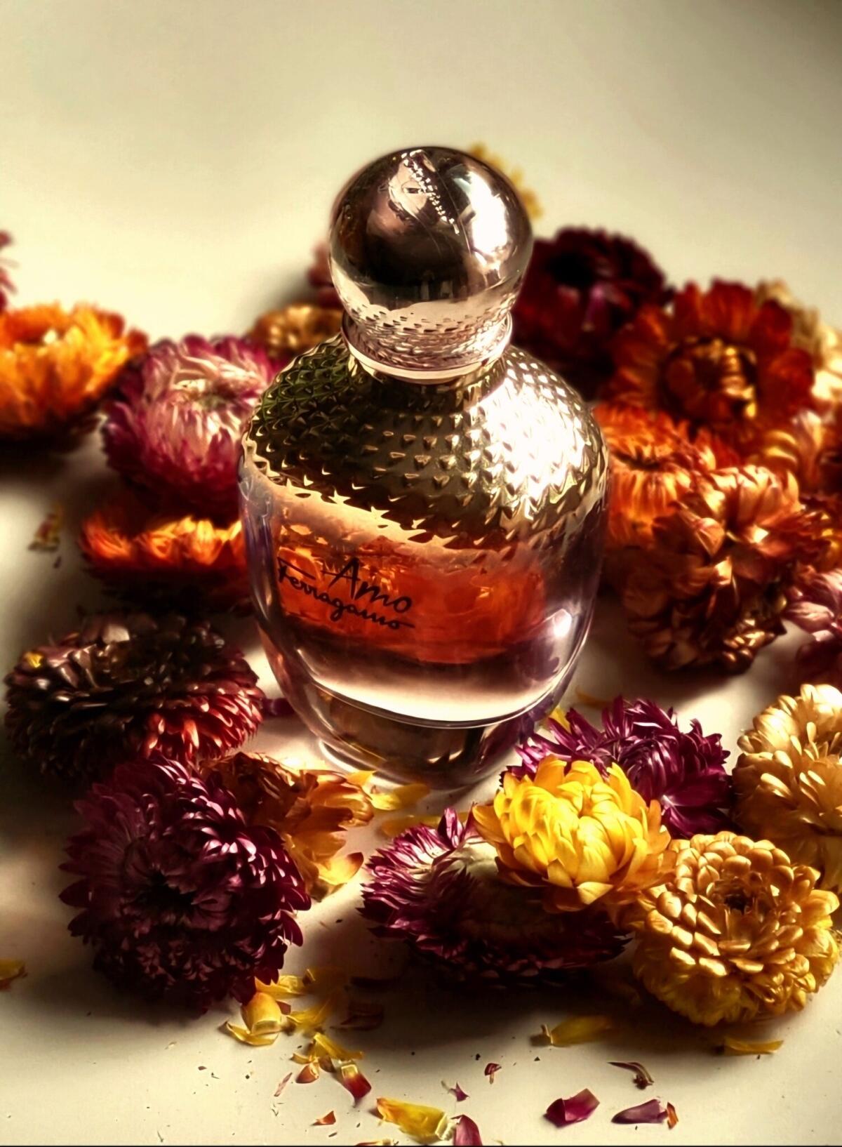 عطر ادکلن آمو فرگامو سالواتوره فراگامو - Amo Ferragamo Salvatore Ferragamo - بررسی، قیمت و خرید