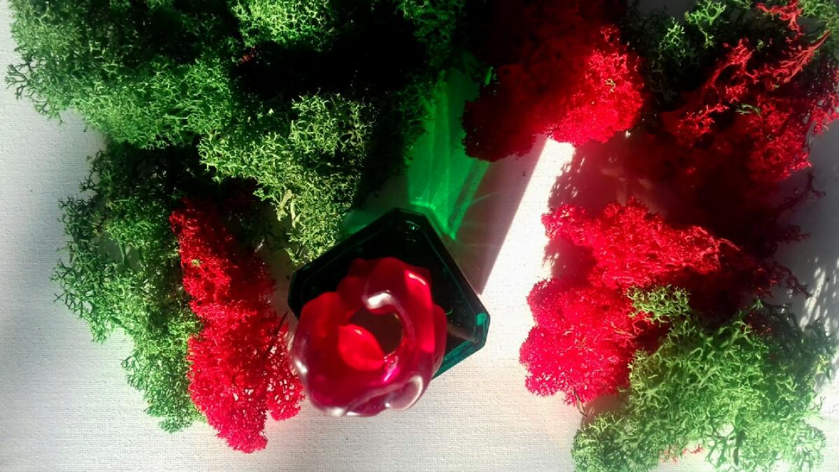 عطر ادکلن او دو سواغ دوهزار و سه سیسلی - Eau du Soir 2003 Sisley - بررسی، قیمت و خرید