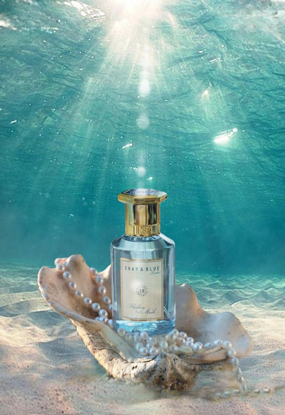 عطر ادکلن بلو بری ماسک شای اند بلو لاندن - Blueberry Musk Shay & Blue London - بررسی، قیمت و خرید