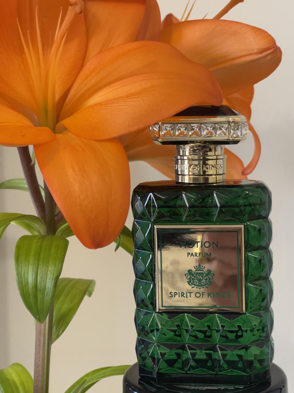 عطر ادکلن نُوشِن اسپیریت آو کینگز - Notion Spirit Of Kings - بررسی، قیمت و خرید