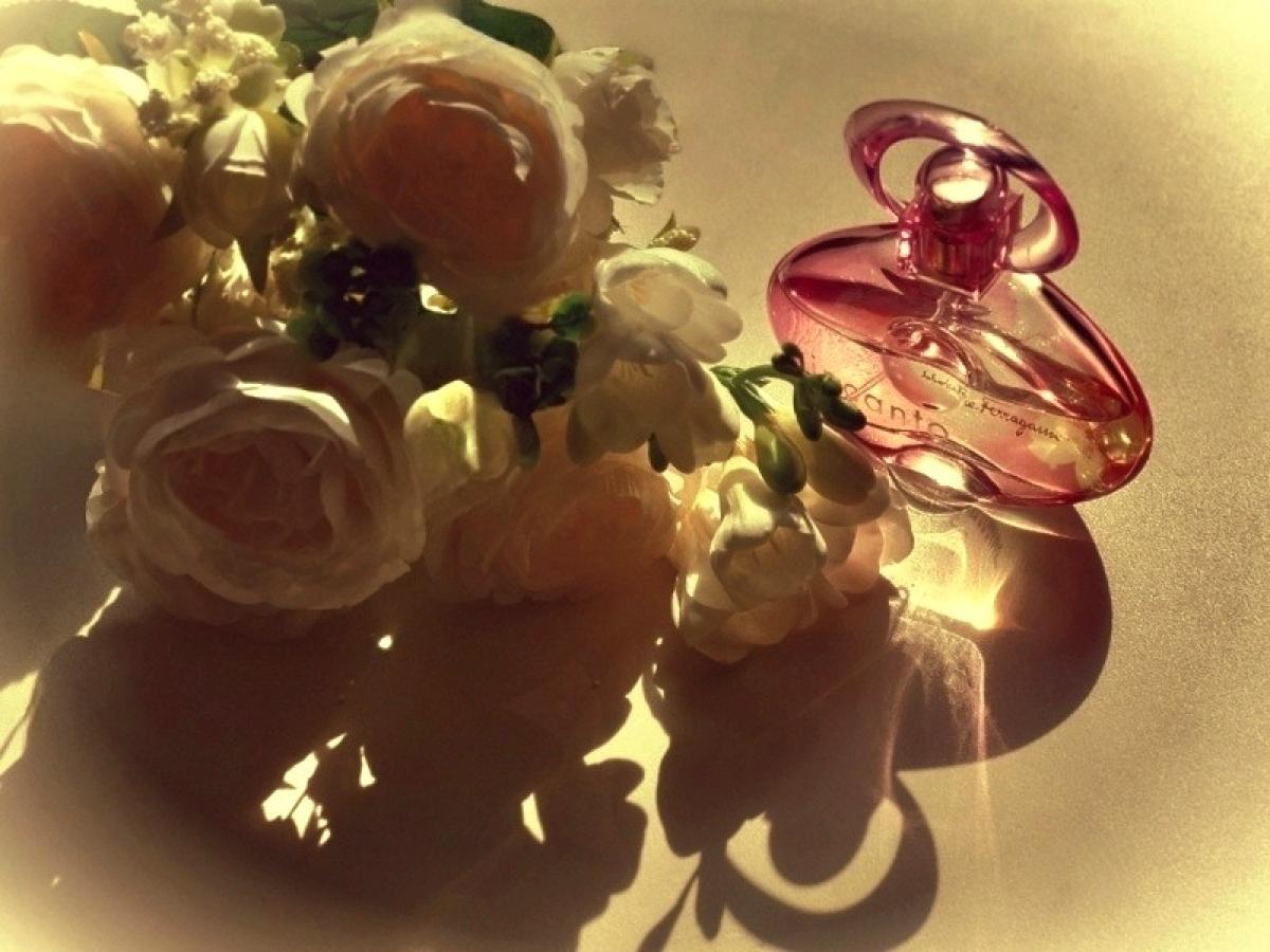 عطر ادکلن اینکانتو دریم سالواتوره فراگامو - Incanto Dream Salvatore Ferragamo - بررسی، قیمت و خرید