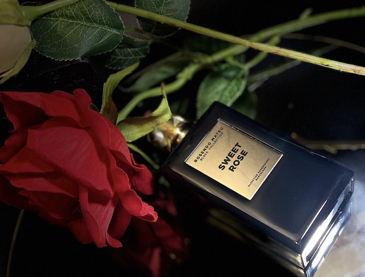 عطر ادکلن سوییت رز رزندو ماتو اولفکتیو اکسپرشنز - Sweet Rose Rosendo Mateu Olfactive Expressions - بررسی، قیمت و خرید