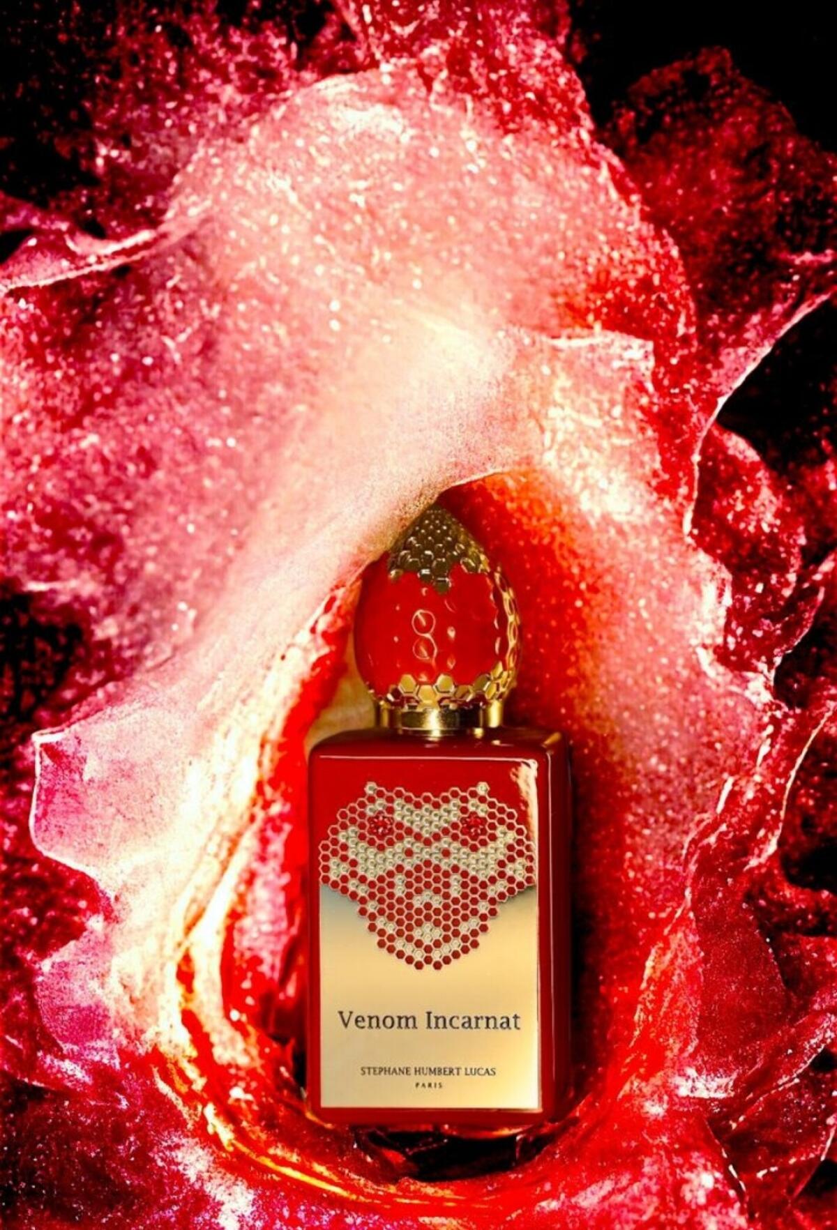 عطر ادکلن ونوم اینکارنت استفان امبر لکاس ۷۷۷ - Venom Incarnat Stéphane Humbert Lucas 777 - بررسی، قیمت و خرید