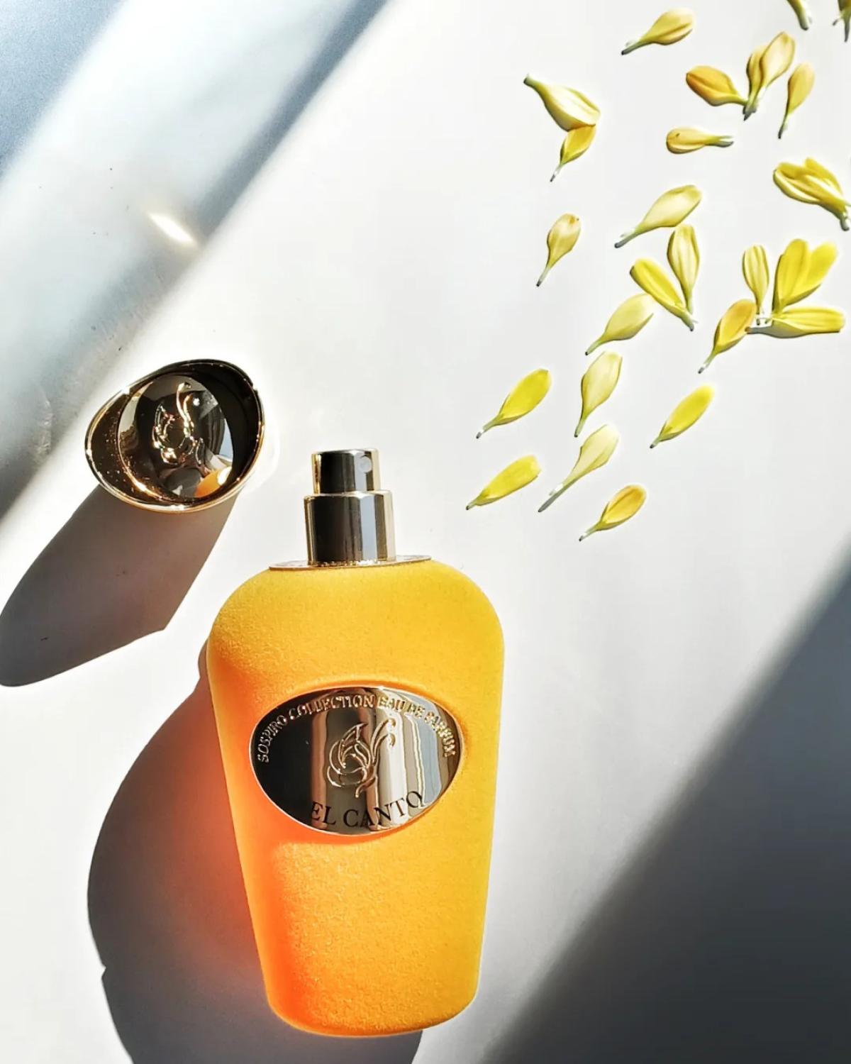 عطر ادکلن بل کانتو سوسپیرو پرفیومز - Bel Canto Sospiro Perfumes - بررسی، قیمت و خرید