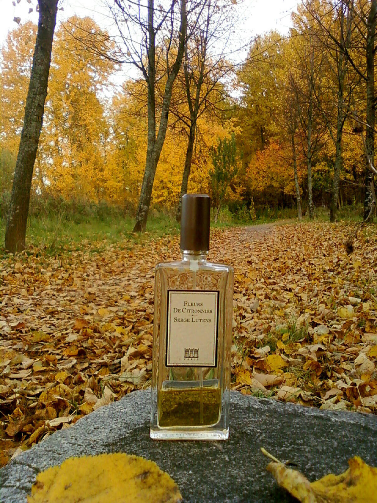 عطر ادکلن فلور د سیتورنیه سرژ لوتنز - Fleurs de Citronnier Serge Lutens - بررسی، قیمت و خرید