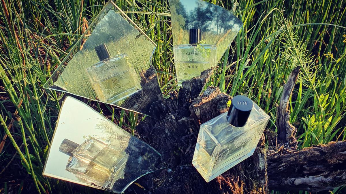 عطر ادکلن کاسیس آن فوی میلر هریس - Cassis en Feuille Miller Harris - بررسی، قیمت و خرید