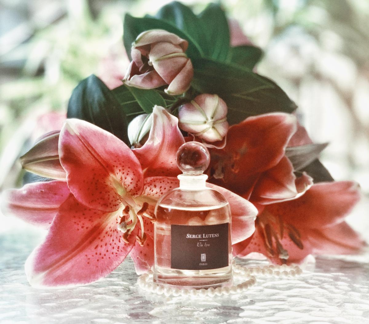 عطر ادکلن آن لیس سرج لوتنز - Un Lys Serge Lutens - بررسی، قیمت و خرید