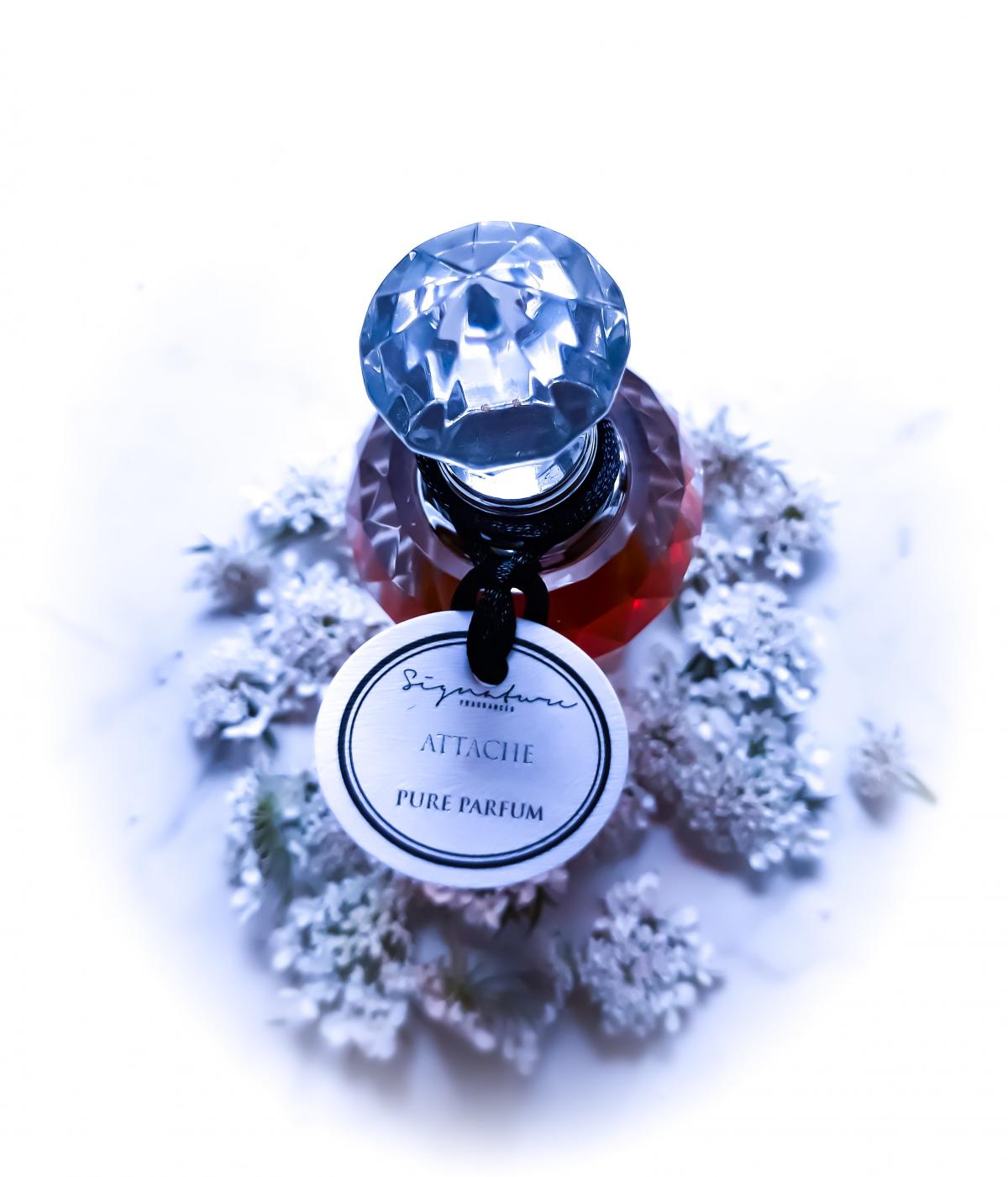 عطر ادکلن اتاچه سگنیچر فراگرنسز - Attache Signature Fragrances - بررسی، قیمت و خرید