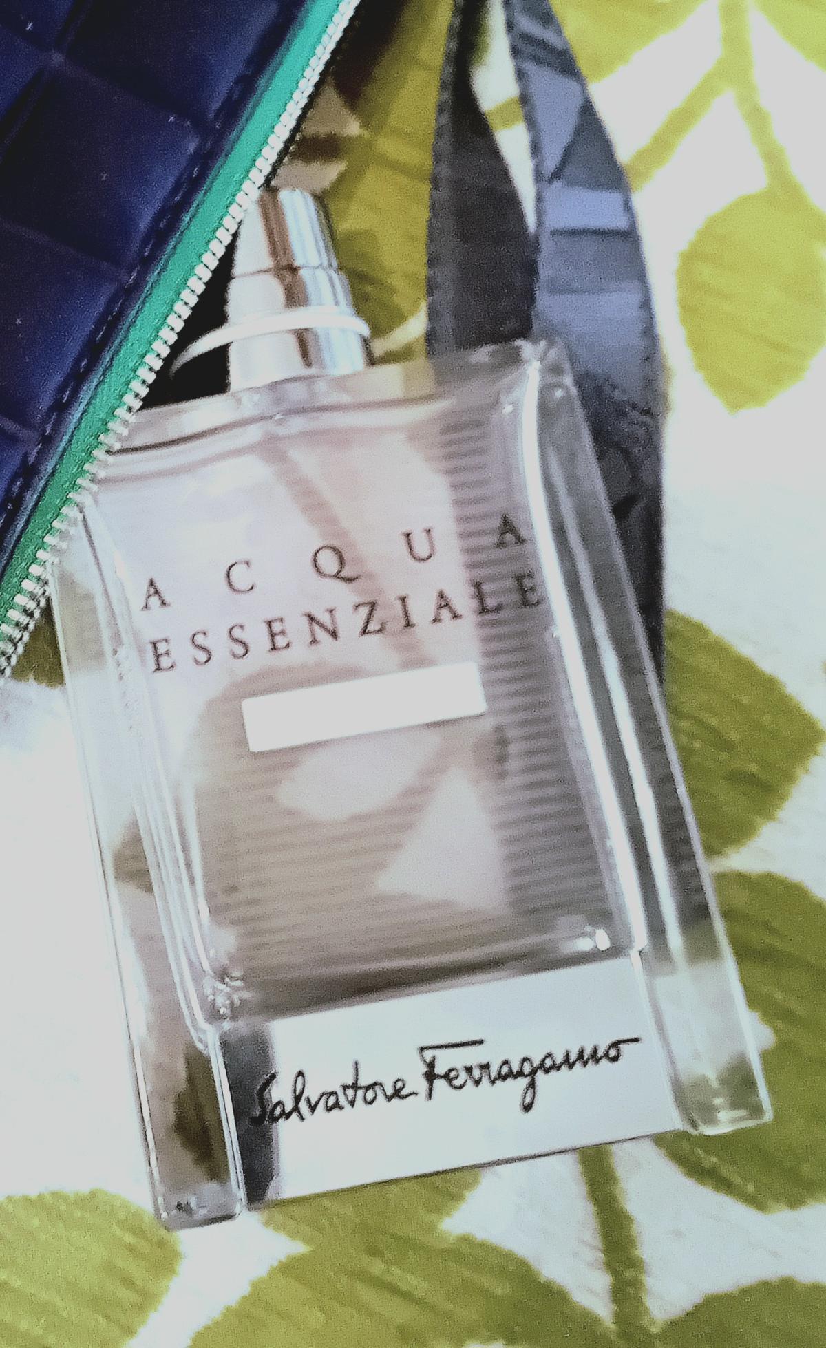 عطر ادکلن آکوا اسنزیاله سالواتوره فراگامو - Acqua Essenziale Salvatore Ferragamo - بررسی، قیمت و خرید