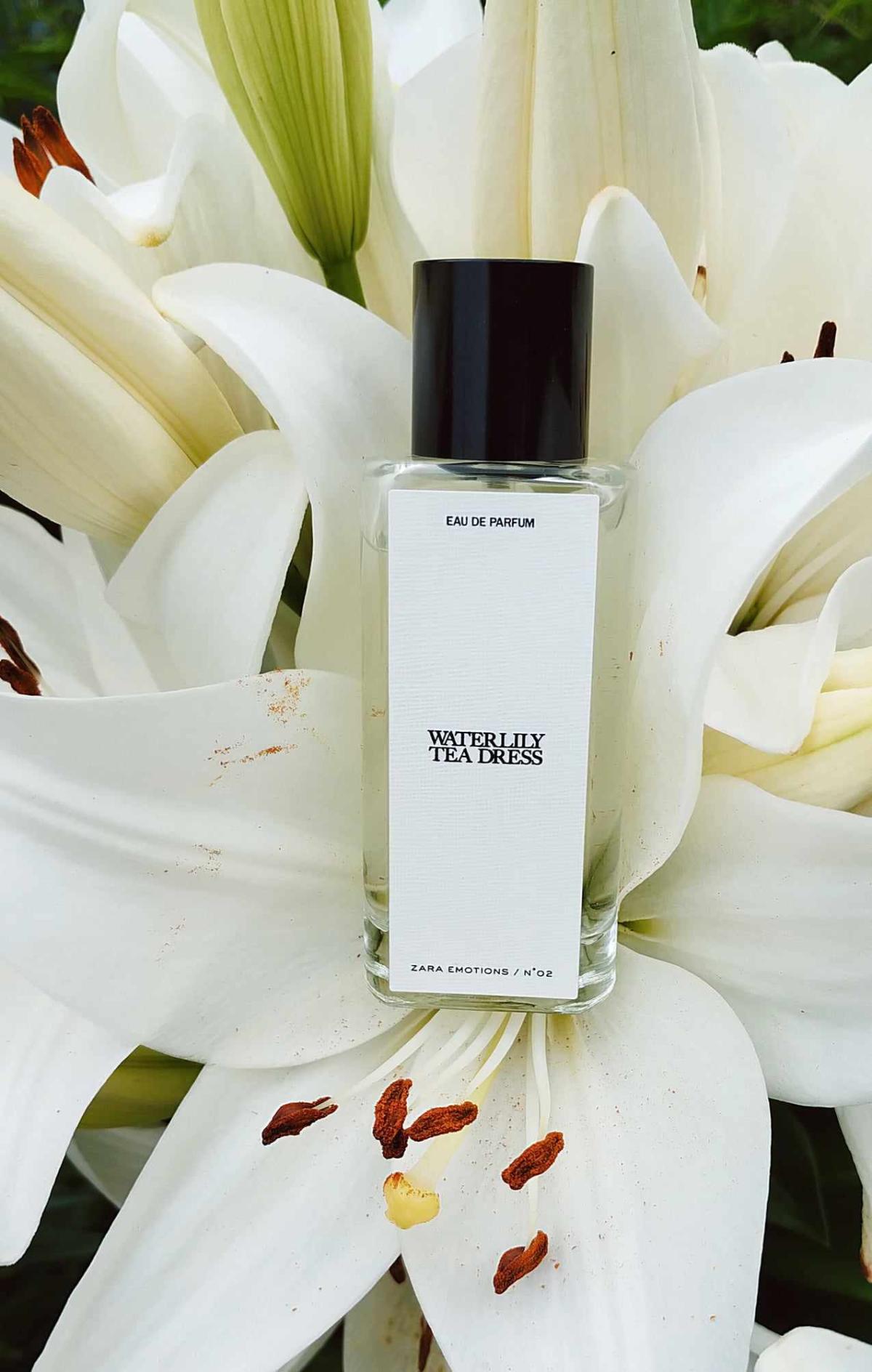 عطر ادکلن واترلیلی تی درس زارا - Waterlily Tea Dress Zara - بررسی، قیمت و خرید