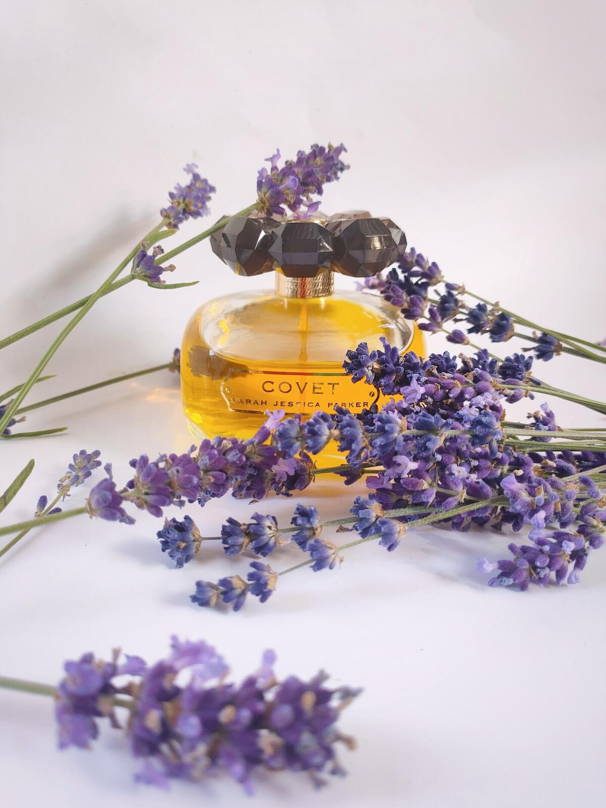 عطر ادکلن کاوِت سارا جسیکا پارکر - Covet Sarah Jessica Parker - بررسی، قیمت و خرید