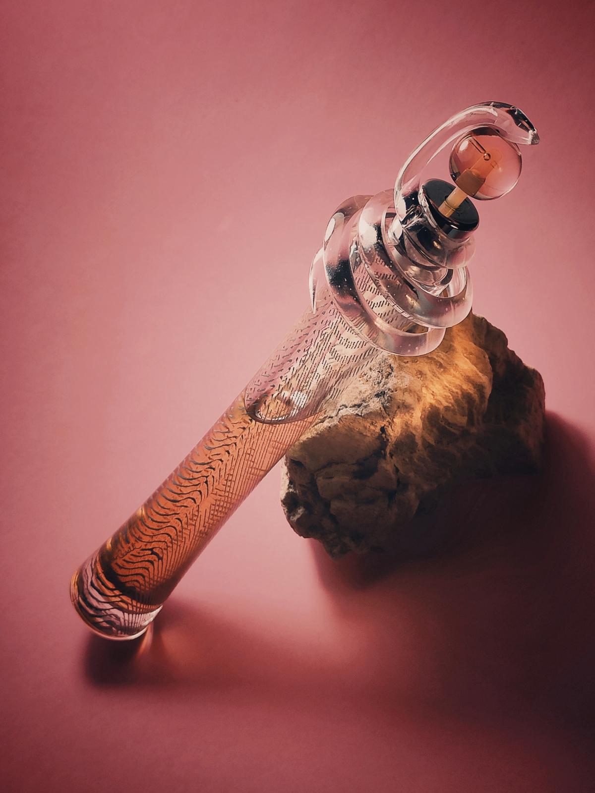 عطر ادکلن روبرتو کاوالی روبرتو کاوالی - Roberto Cavalli Roberto Cavalli - بررسی، قیمت و خرید