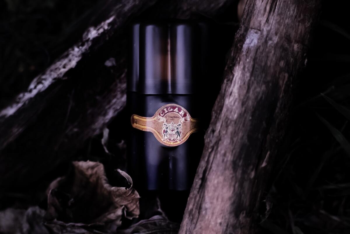 عطر ادکلن سیگار رمی لاتور - Cigar Rémy Latour - بررسی، قیمت و خرید