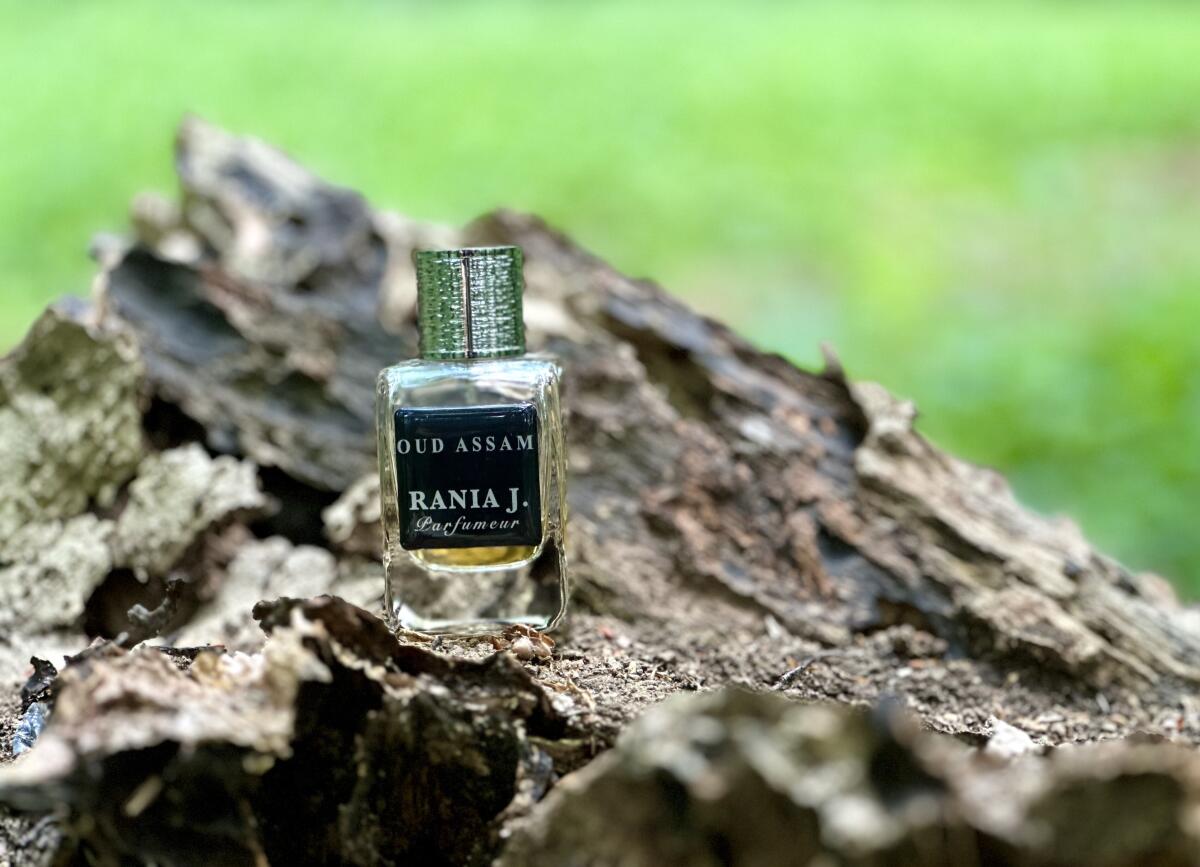 عطر ادکلن عود آسام رانیه جِی - Oud Assam Rania J - بررسی، قیمت و خرید