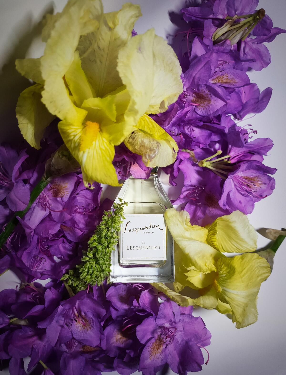 عطر ادکلن عودمار منسفیلد - Oudamar Mansfield - بررسی، قیمت و خرید