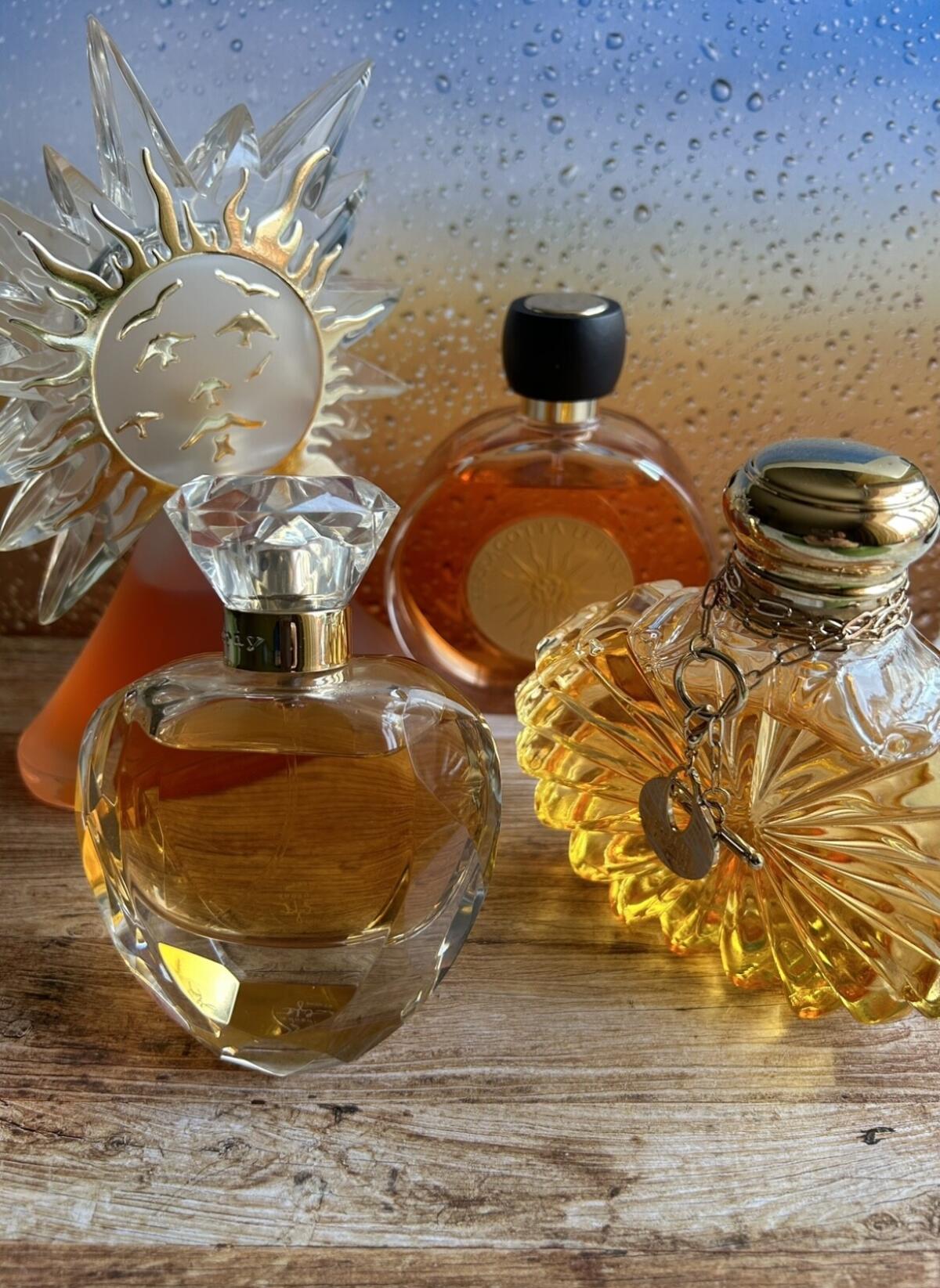 عطر ادکلن لروی سولی سالوادور دالی - Le Roy Soleil Salvador Dali - بررسی، قیمت و خرید