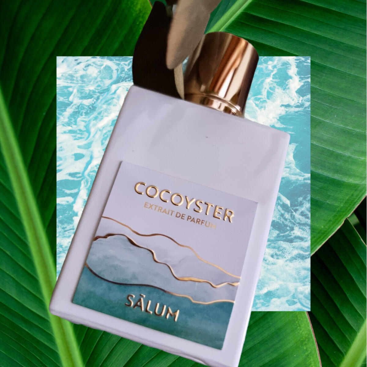 عطر ادکلن کوکویستر سالوم پرفیومز - Cocoyster Salum Parfums - بررسی، قیمت و خرید