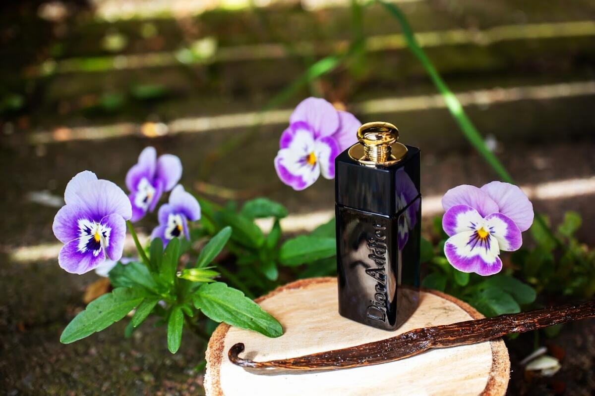 عطر ادکلن دیور ادیکت ادو پرفیوم دیور - Dior Addict Eau de Parfum Dior - بررسی، قیمت و خرید