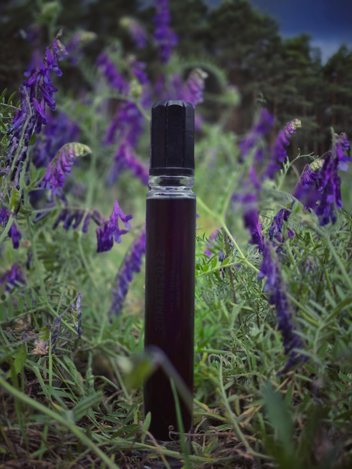 عطر ادکلن بیس مارس دوهزار و بیست و دو روند هولز - 20 MARS 2022 Rundholz - بررسی، قیمت و خرید