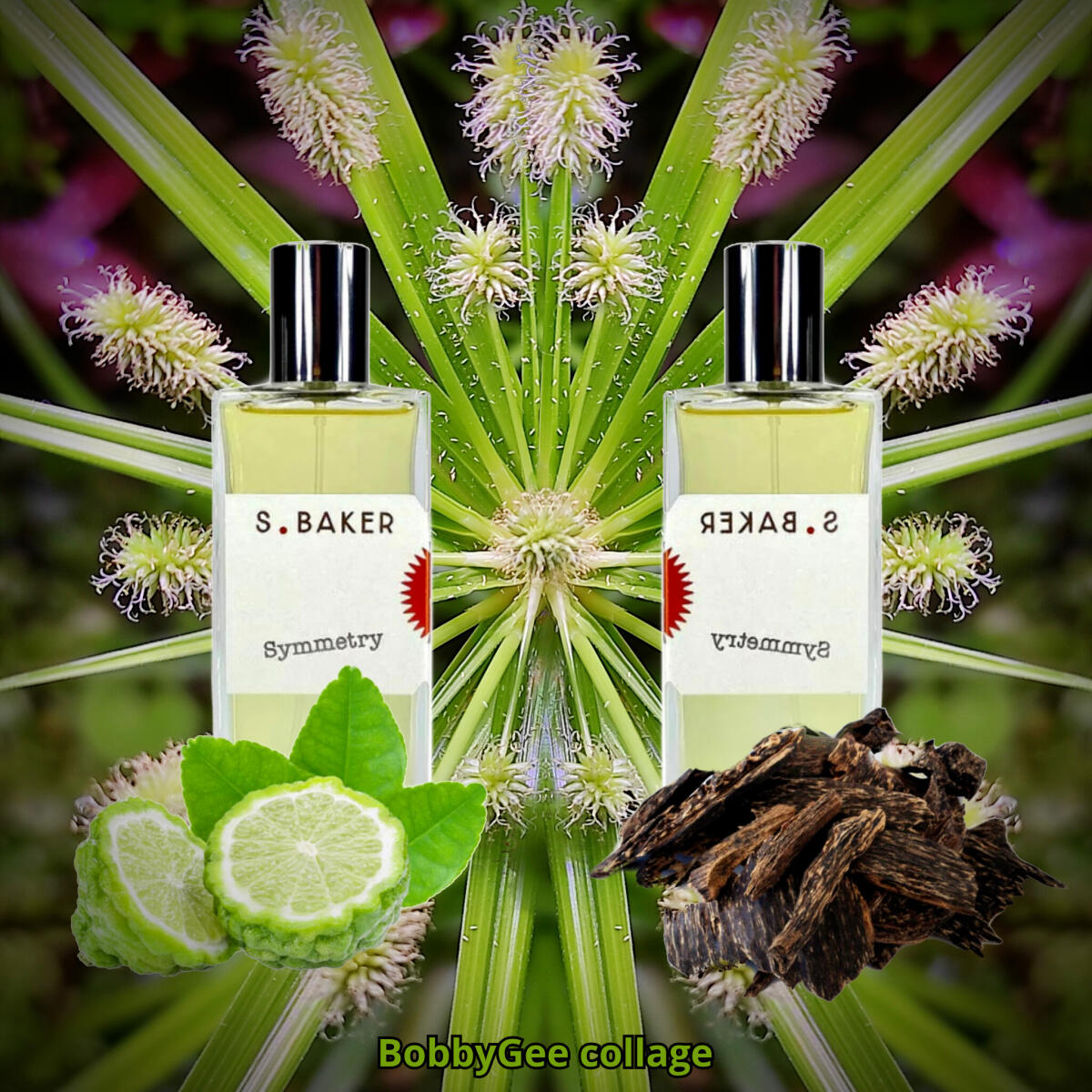 عطر ادکلن سیمتری سارا بیکر پرفیومز - Symmetry Sarah Baker Perfumes - بررسی، قیمت و خرید