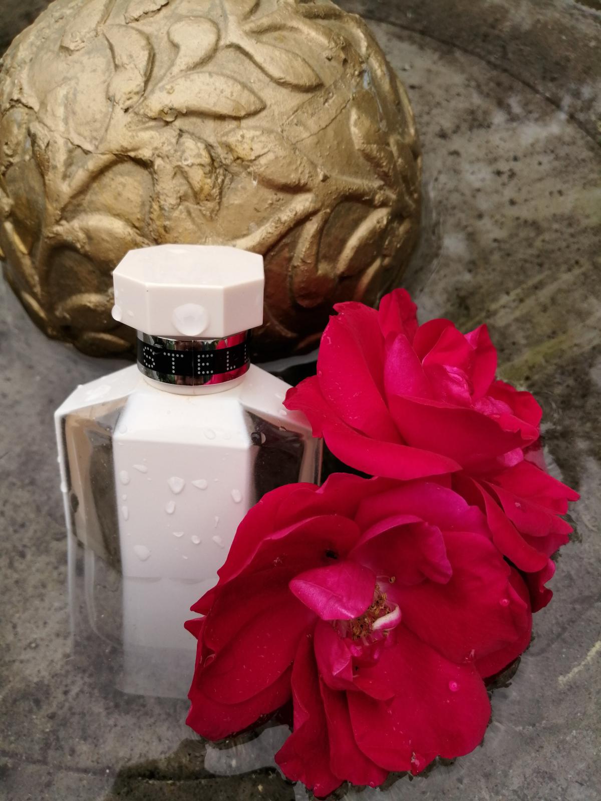 عطر ادکلن استلا نود استلا مکارتنی - Stella Nude Stella McCartney - بررسی، قیمت و خرید