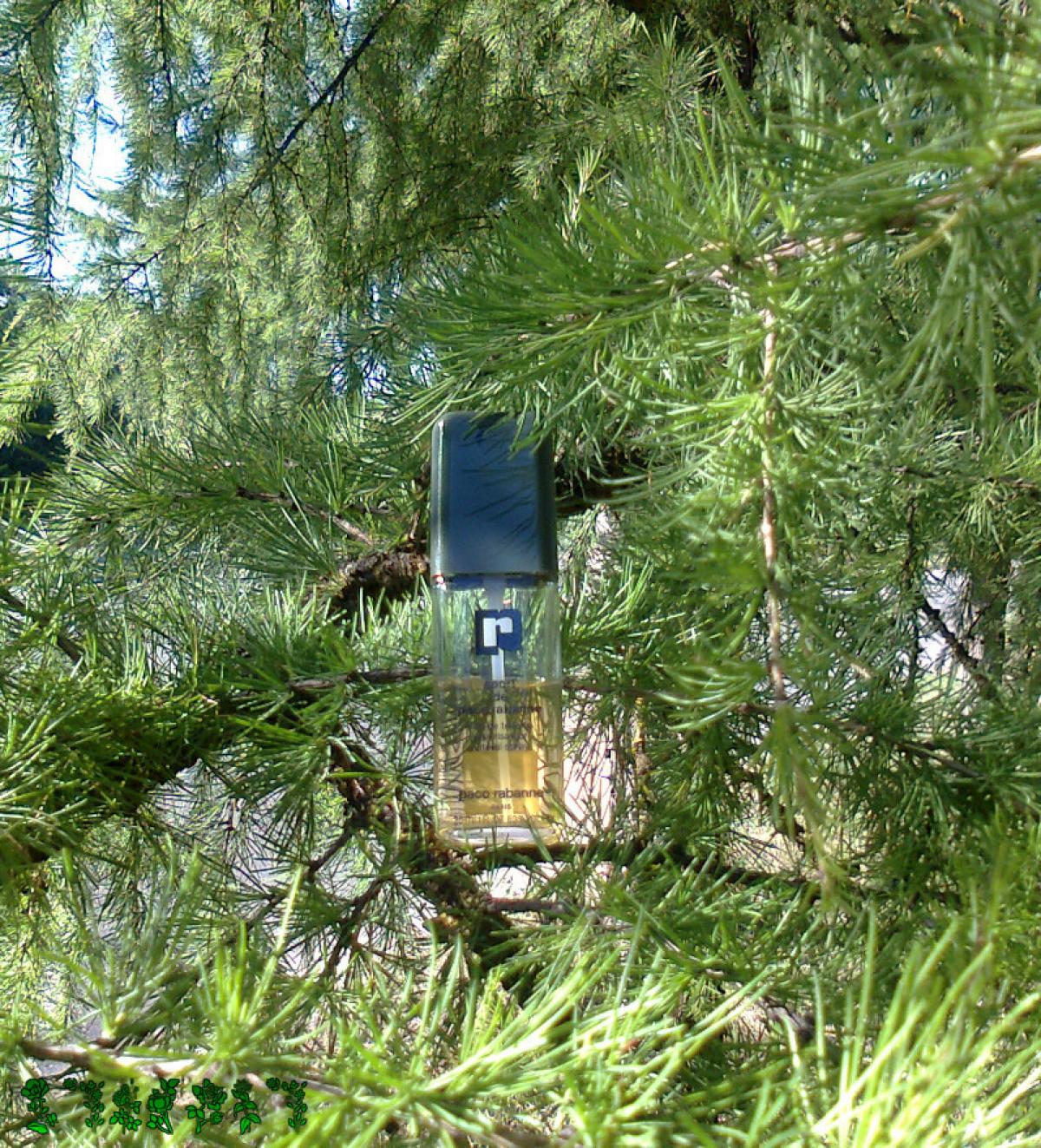 عطر ادکلن اسپرت د پاکو رابان رابان - Sport de Paco Rabanne Rabanne - بررسی، قیمت و خرید