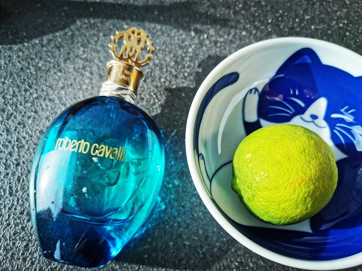 عطر ادکلن رابرتو کاوالی آکوا روبerto کاوالی - Roberto Cavalli Acqua Roberto Cavalli - بررسی، قیمت و خرید