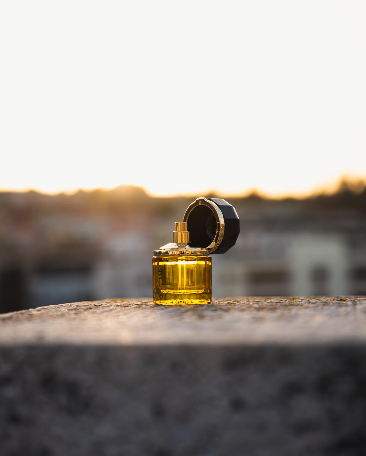 عطر ادکلن فایسا رامون مونه‌گال - Faïsa Ramon Monegal - بررسی، قیمت و خرید