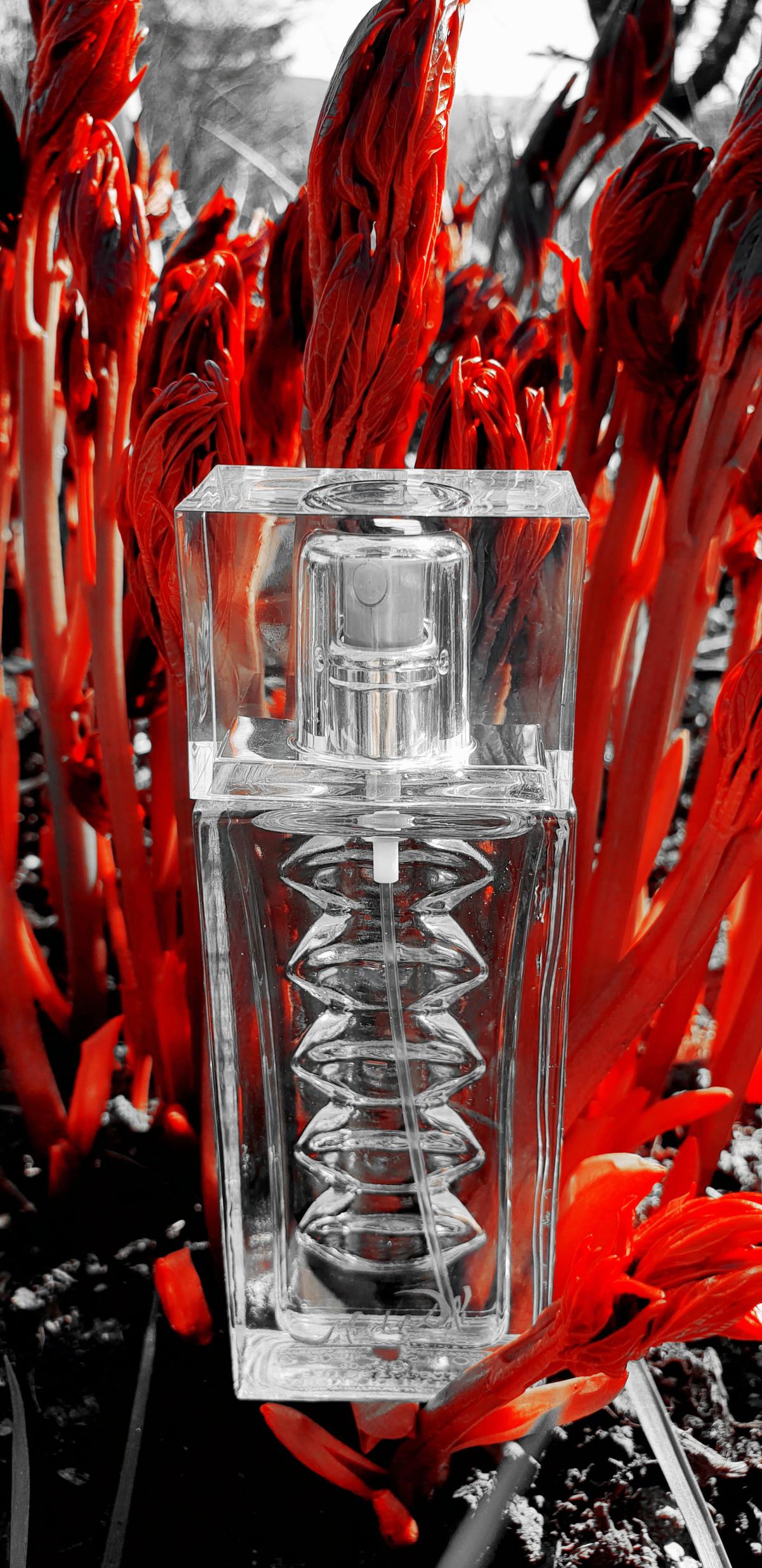 عطر ادکلن اُ دو روبی لیپس سالوادور دالی - Eau de RubyLips Salvador Dali - بررسی، قیمت و خرید