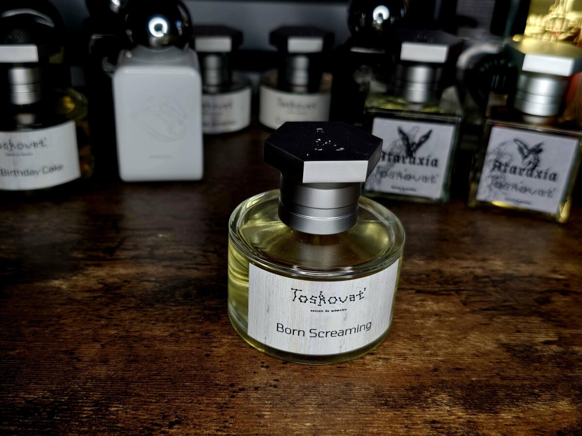 عطر ادکلن بورن اسکریمین توسکوات - Born Screaming Toskovat' - بررسی، قیمت و خرید