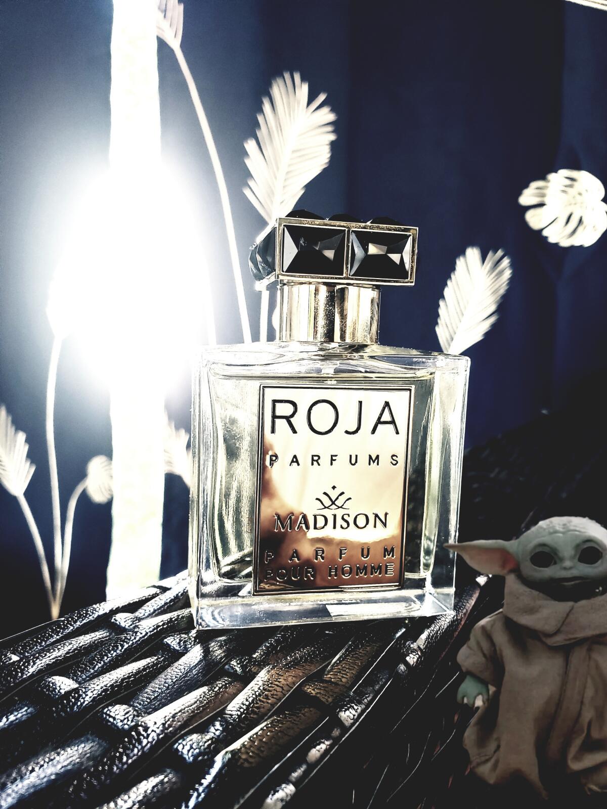 عطر ادکلن مدیسون پور هوم روجا داو - Madison Pour Homme Roja Dove - بررسی، قیمت و خرید