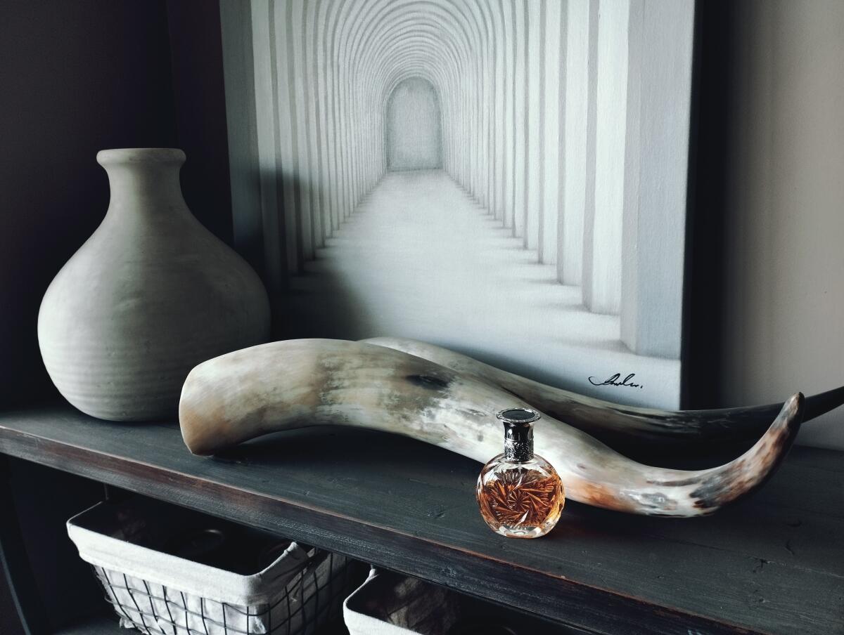 عطر ادکلن سافاری رالف لورن - Safari Ralph Lauren - بررسی، قیمت و خرید