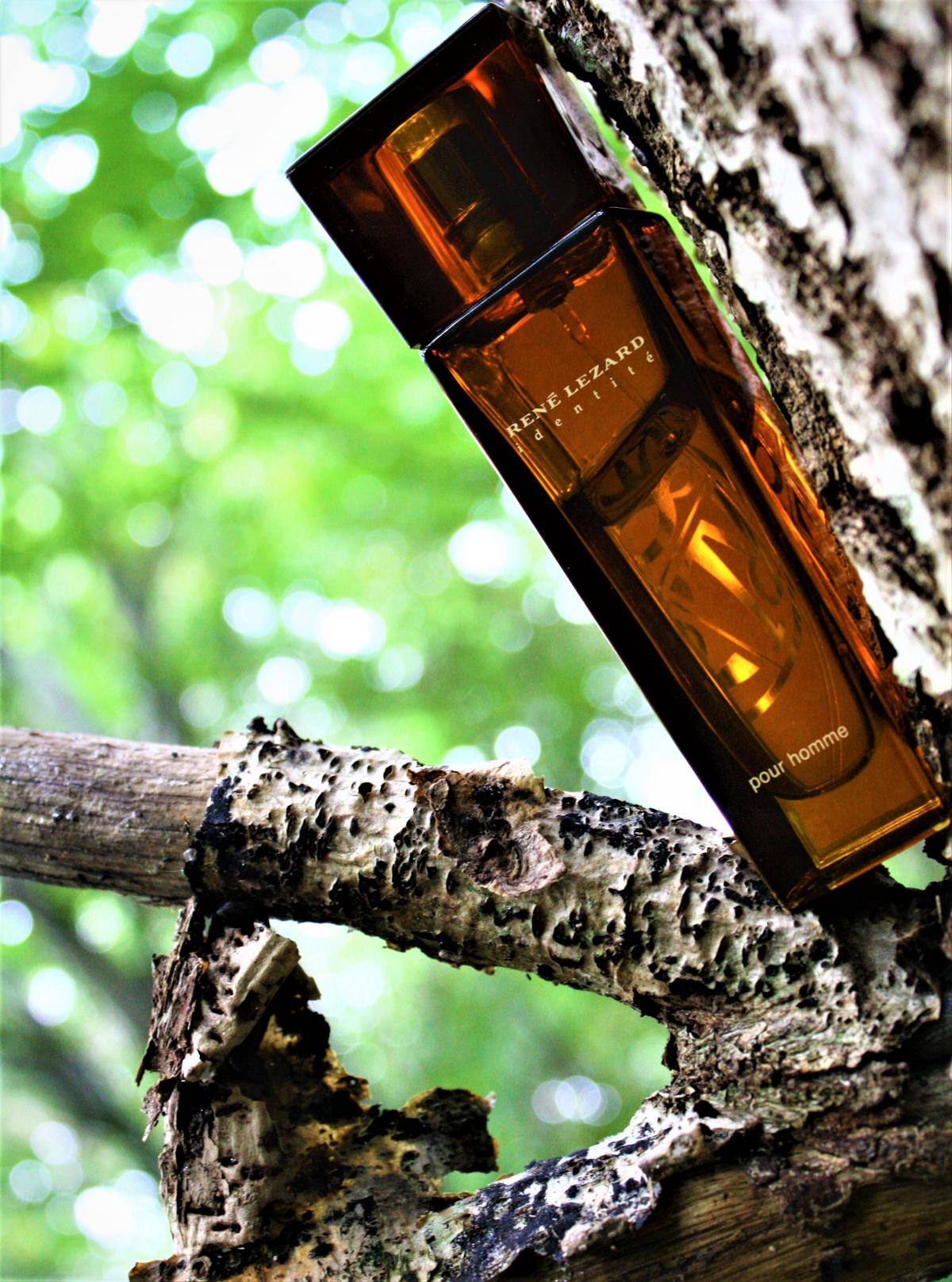 عطر ادکلن آیدنتیته فور من رنه لزارد - Identite for Men Rene Lezard - بررسی، قیمت و خرید