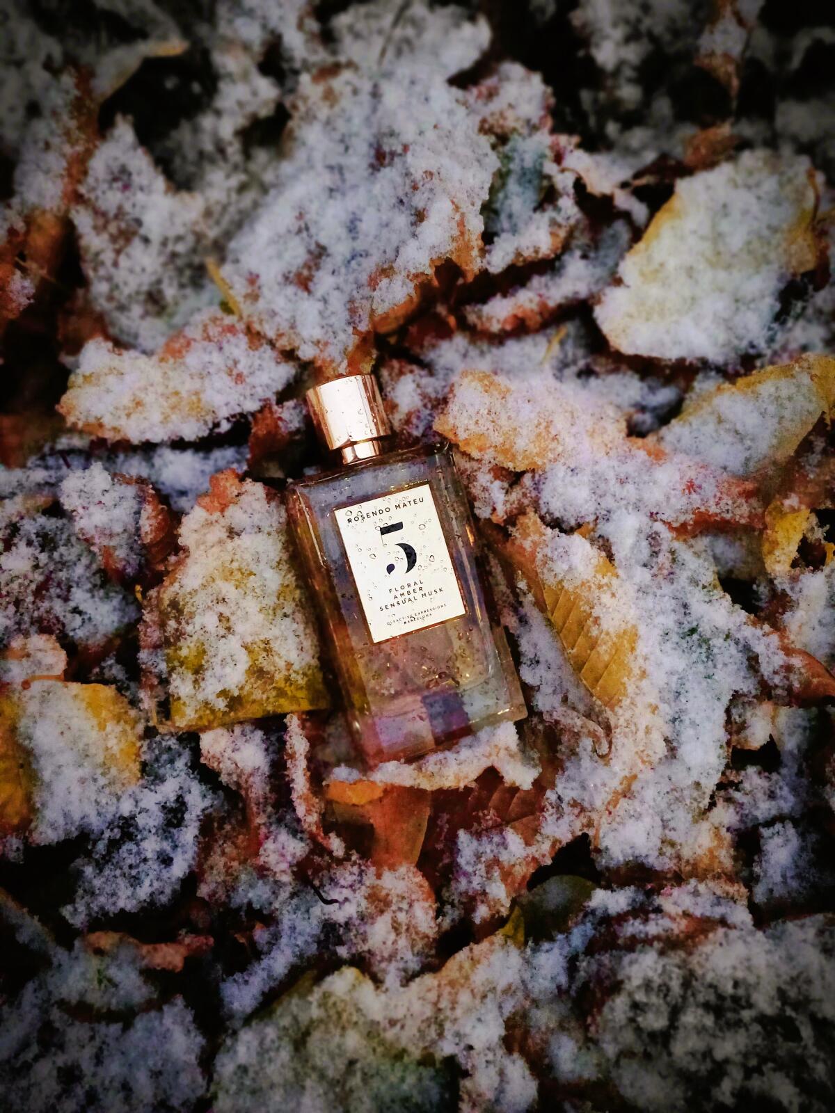 عطر ادکلن رزندو ماتئو نامبر فایو فلورال، امبر، سنشوال ماسک رسندو ماتئو اولفکتیو اکسپرشنز - Rosendo Mateu Nº 5 Floral, Amber, Sensual Musk Rosendo Mateu Olfactive Expressions - بررسی، قیمت و خرید