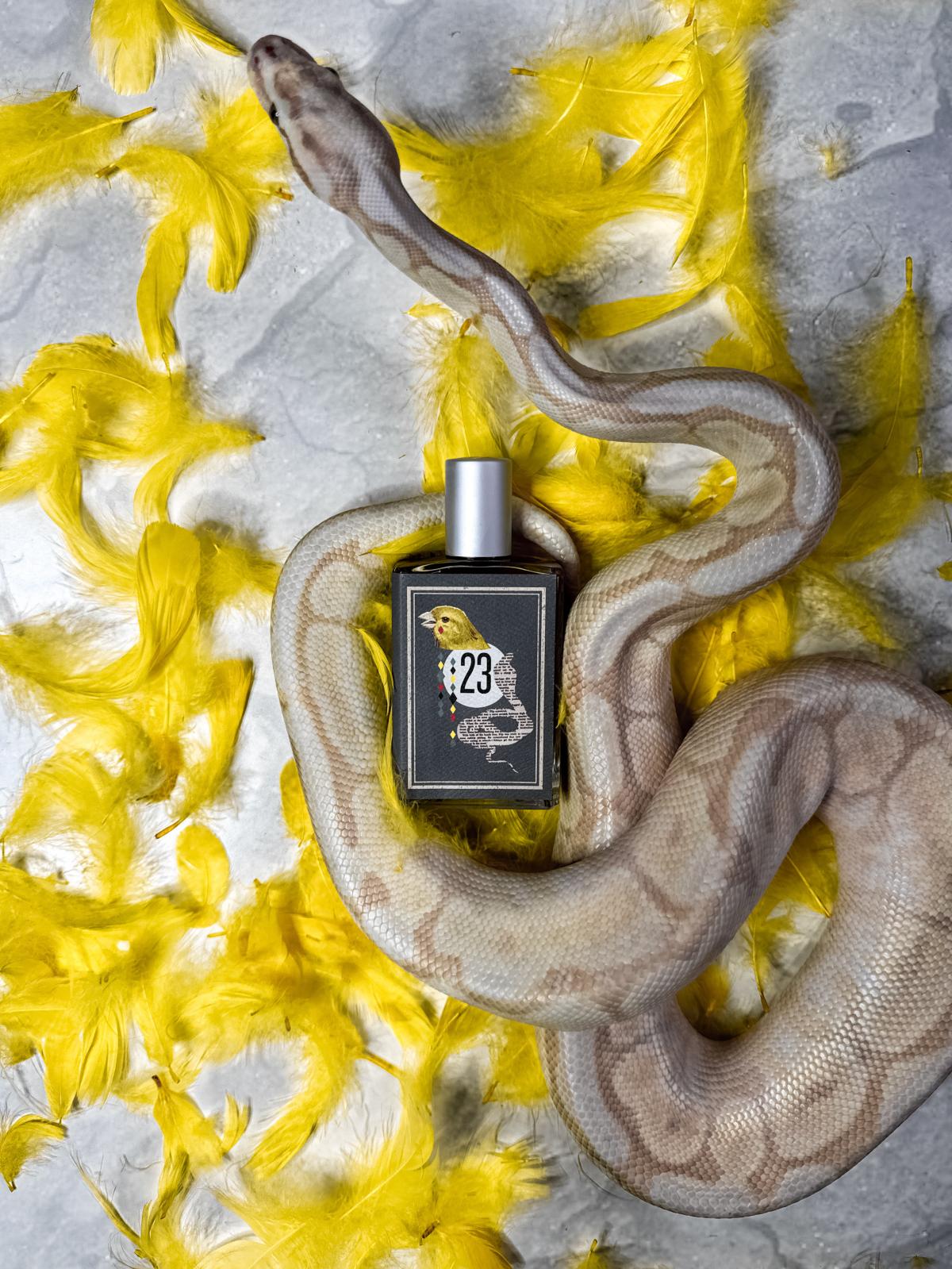 عطر ادکلن د کبرا اند د کناوری ایمجینری آتورز - The Cobra and The Canary Imaginary Authors - بررسی، قیمت و خرید