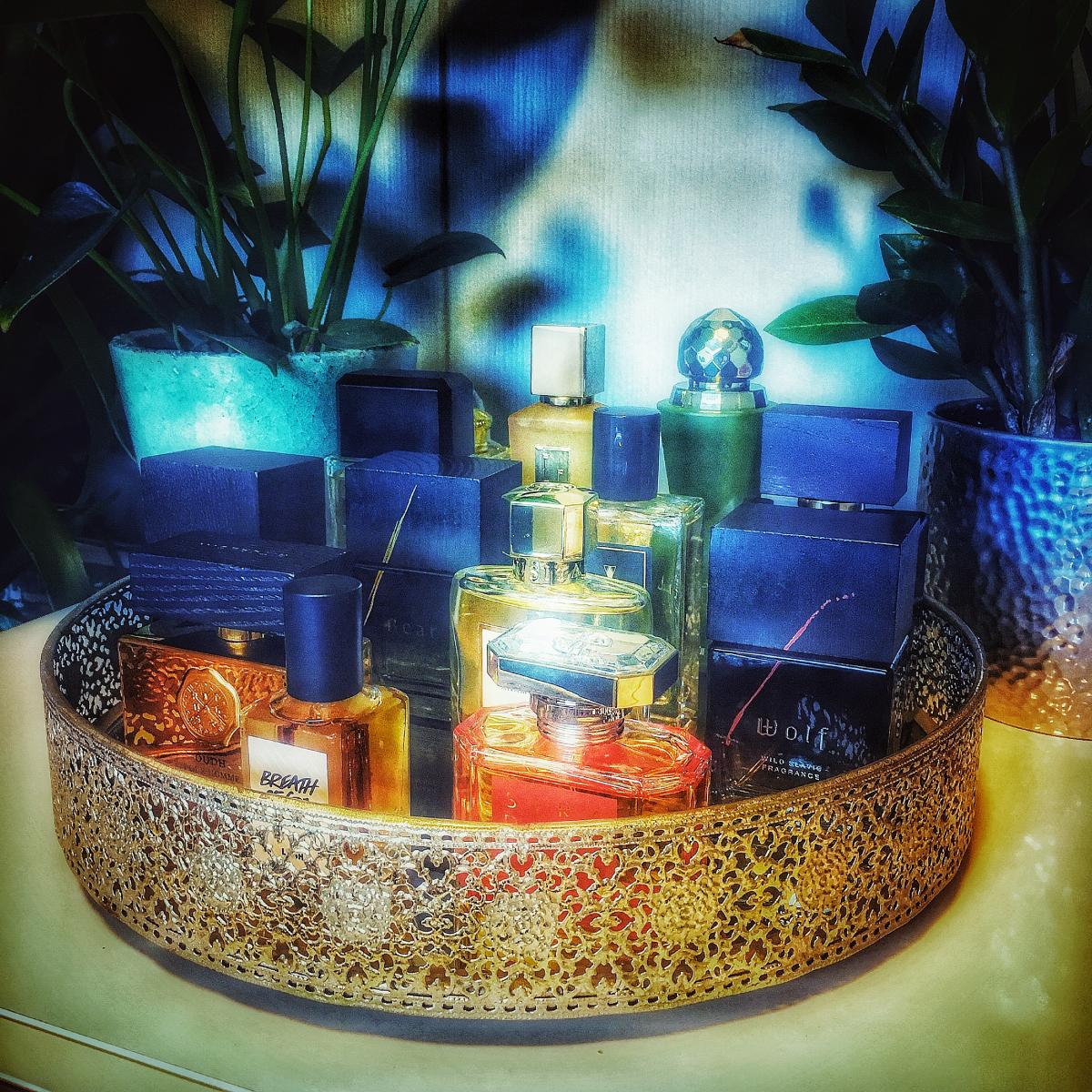 عطر ادکلن سه‌رندیپیتی فور هیم ریچوالز - Serendipity For Him Rituals - بررسی، قیمت و خرید