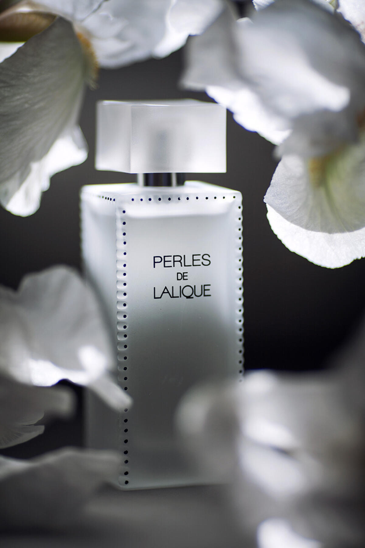 عطر ادکلن پرلز د لالیک لالیک - Perles De Lalique Lalique - بررسی، قیمت و خرید