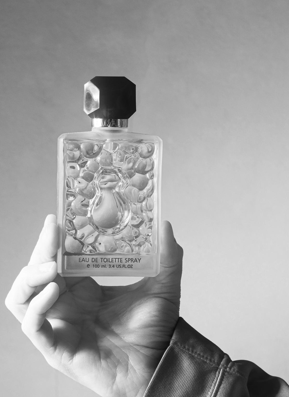 عطر ادکلن سالوادور بای سالوادور دالی سالوادور دالی - Salvador by Salvador Dali (1992) Salvador Dali - بررسی، قیمت و خرید