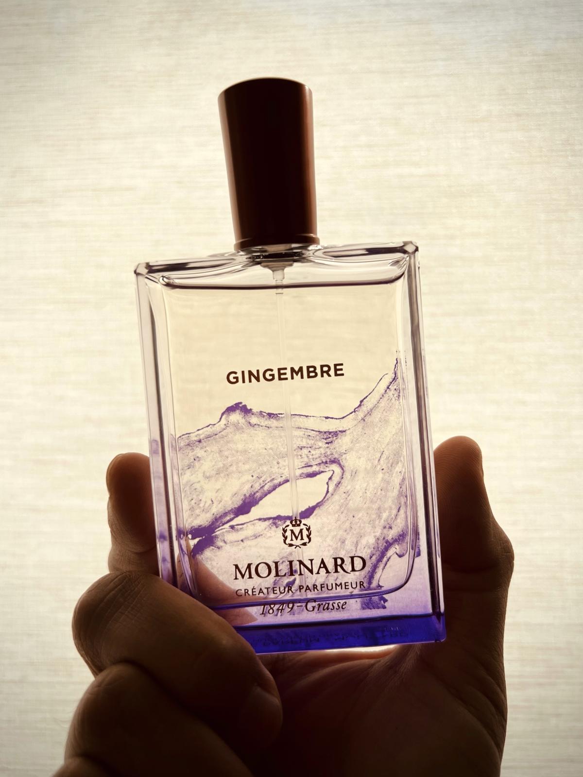 عطر ادکلن ژینژامبر مولینارد - Gingembre Molinard - بررسی، قیمت و خرید