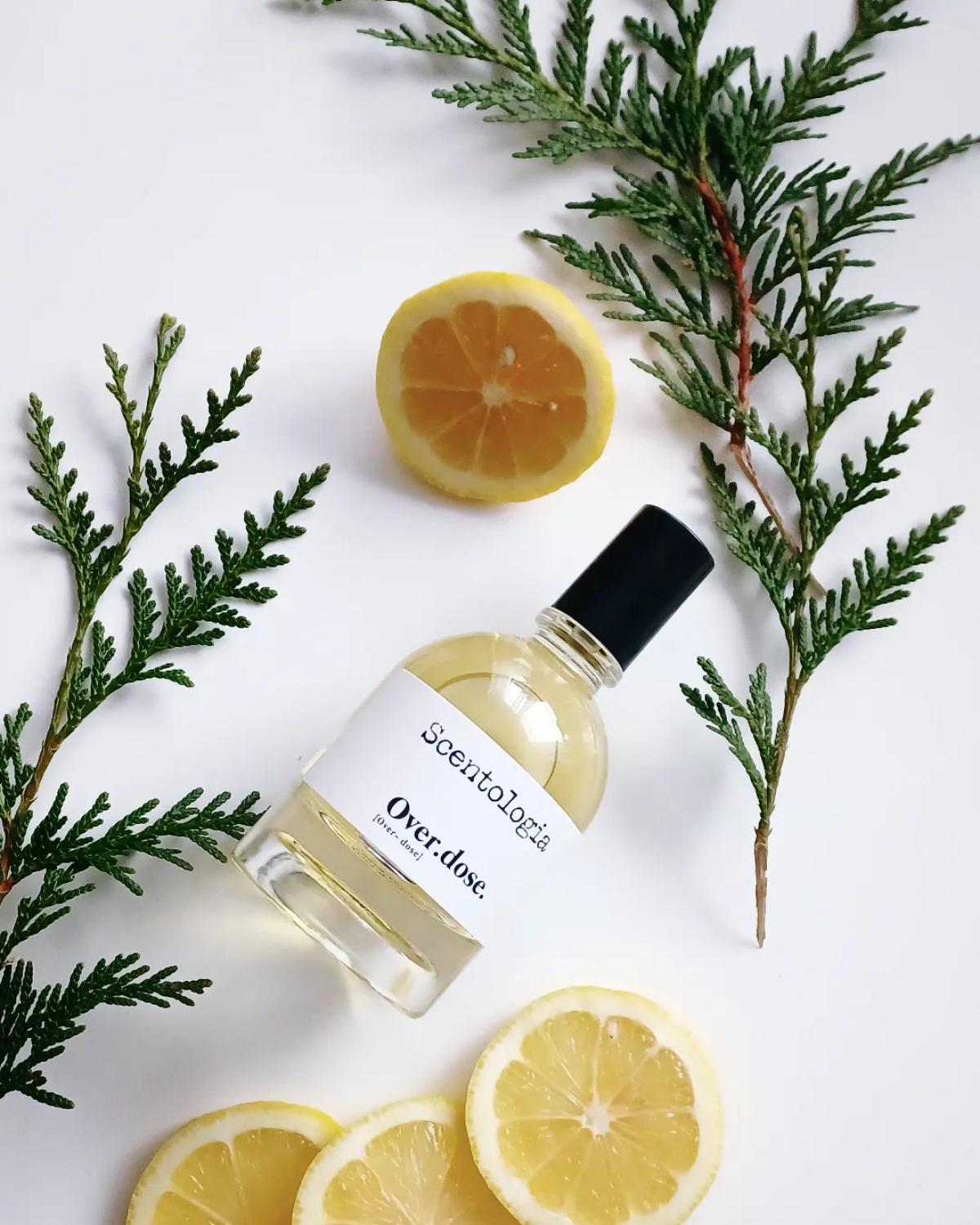 عطر ادکلن اوردوز سنتولوژیا - Over.dose Scentologia - بررسی، قیمت و خرید