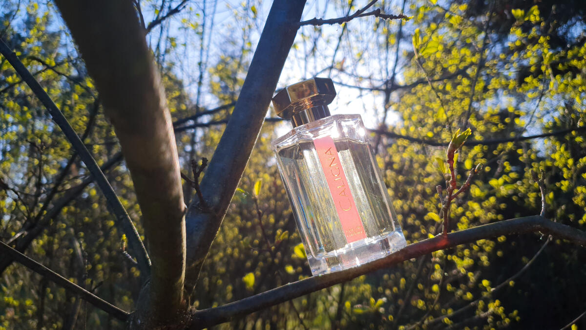 عطر ادکلن کالینا لارتیزان پرفیومر - Caligna L'Artisan Parfumeur - بررسی، قیمت و خرید