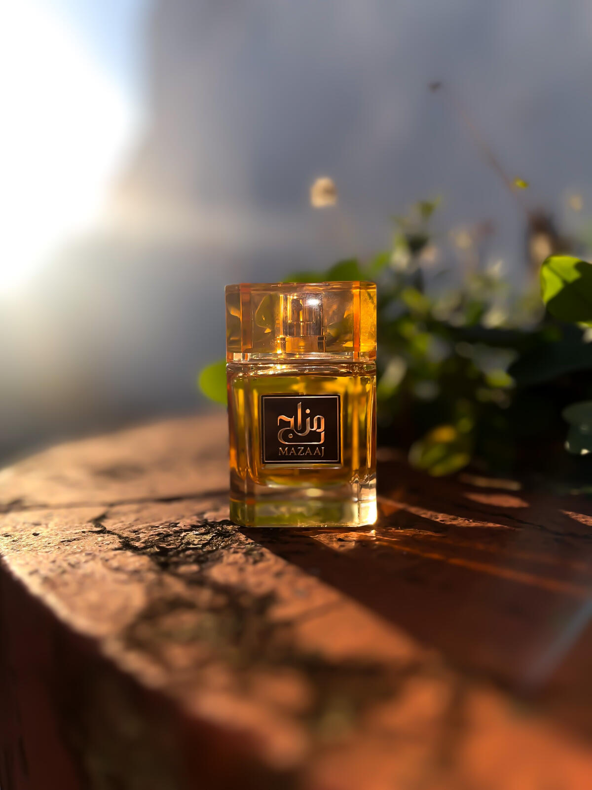 عطر ادکلن ماج زیما - Mazaaj Zimaya - بررسی، قیمت و خرید