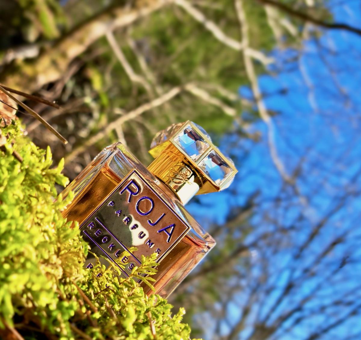 عطر ادکلن رِکلِس روجا داو - Reckless Roja Dove - بررسی، قیمت و خرید