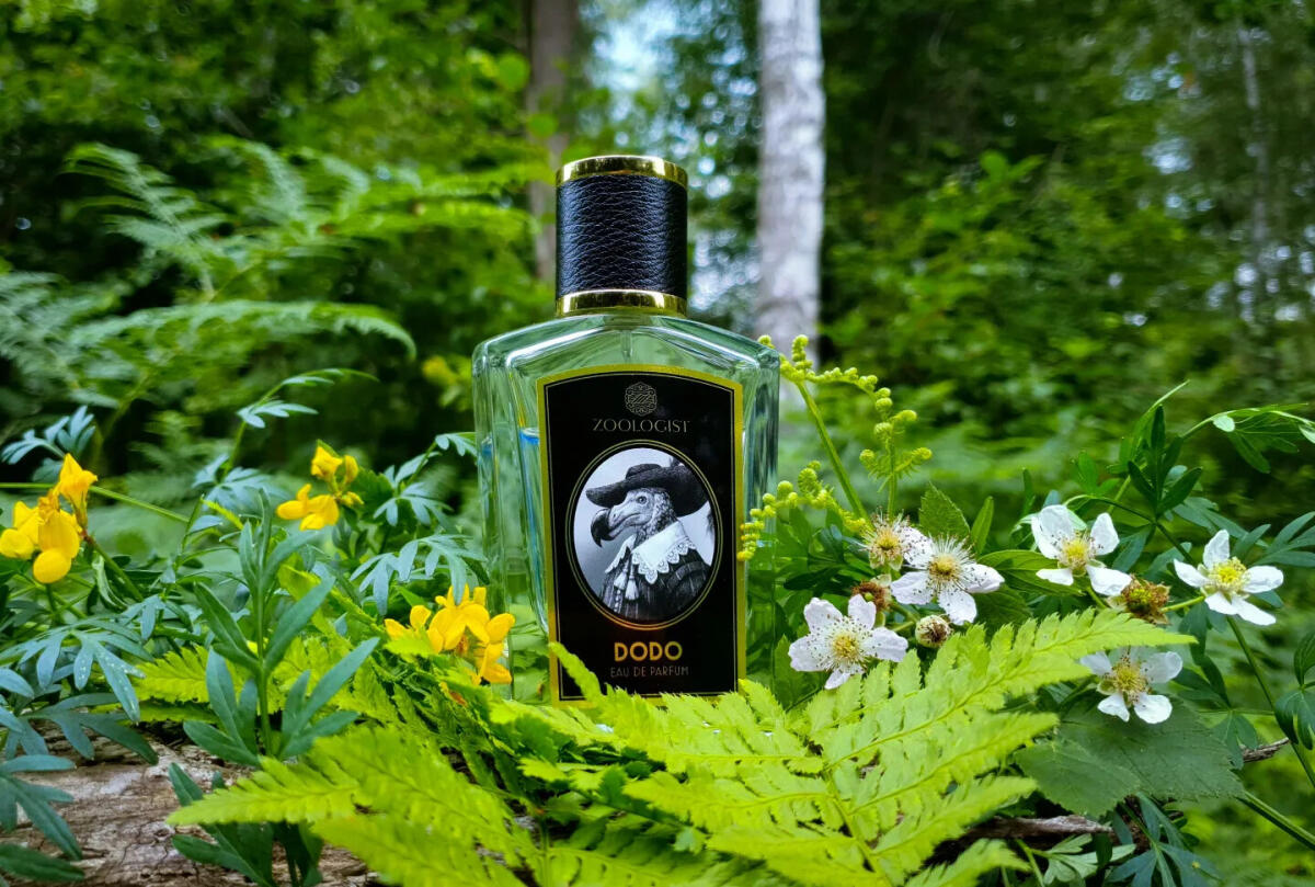 عطر ادکلن دودو زئولوژیست پرفیومز - Dodo Zoologist Perfumes - بررسی، قیمت و خرید